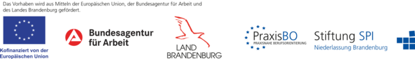 Bild vergr&ouml;&szlig;ern: Logoleiste PraxisBO